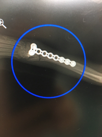 画像の説明 画像の説明