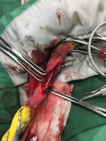 画像の説明 画像の説明