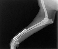 画像の説明 画像の説明