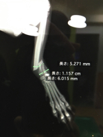 画像の説明 画像の説明