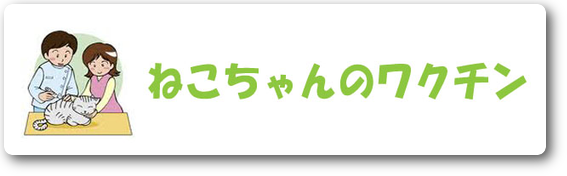 ねこちゃんのワクチン　川崎市　麻生区　動物病院　ハルどうぶつ病院