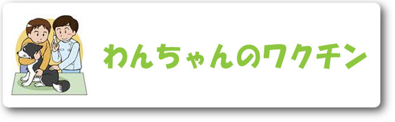 わんちゃんのワクチン　川崎市麻生区　動物病院　ハルどうぶつ病院