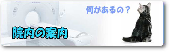 病院案内　神奈川県川崎市麻生区　動物病院　ハルどうぶつ病院
