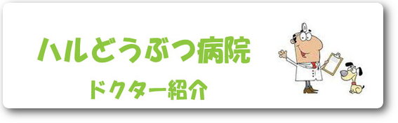 ハルどうぶつ病院　動物病院　ドクター紹介　川崎市　麻生区