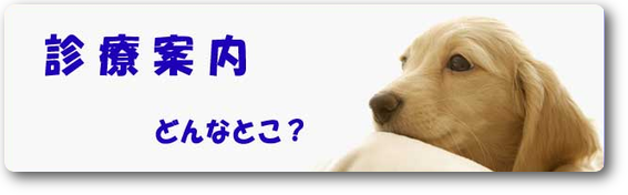 病院案内　神奈川県川崎市麻生区　動物病院　ハルどうぶつ病院